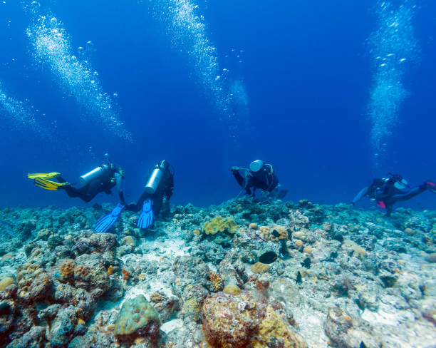 istock Group of divers hanging on reef wall in strong current 643949582