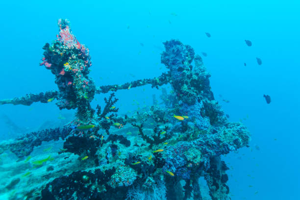 istock Shipwreck in Ocean Blue, Maldives 643950182