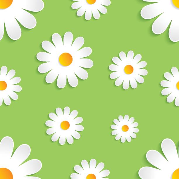 Seamless pattern of chamomile vector art illustration