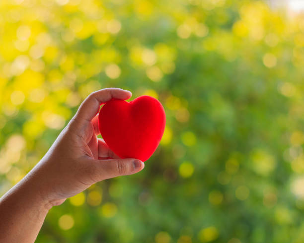 istock Hand holding a red heart on bokeh light background, Valentine day idea. 643956416
