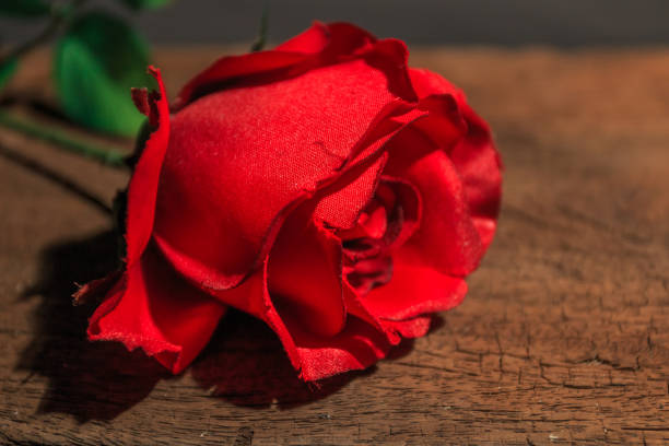 istock Red rose on wooden background, Valentine day idea 643956924