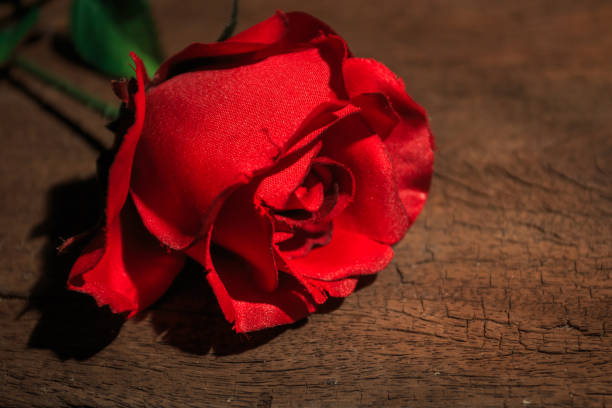 istock Red rose on wooden background, Valentine day idea. 643956940