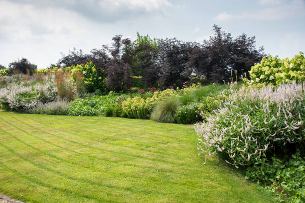 istock big garden with plants and flowers 643957160