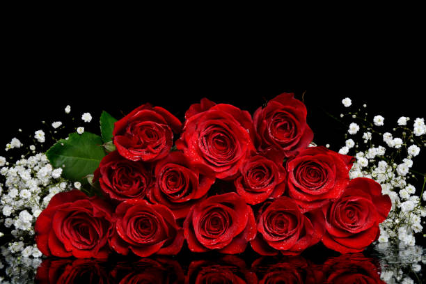 une douzaine de roses rouges - dozen roses rose flower arrangement red photos et images de collection