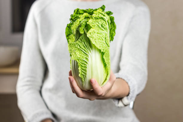 istock Chinese leaf in female hand 643969176