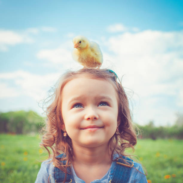 Child at Easter Little girl celebrating Easter outdoors with chicken baby chicken photos stock pictures, royalty-free photos & images