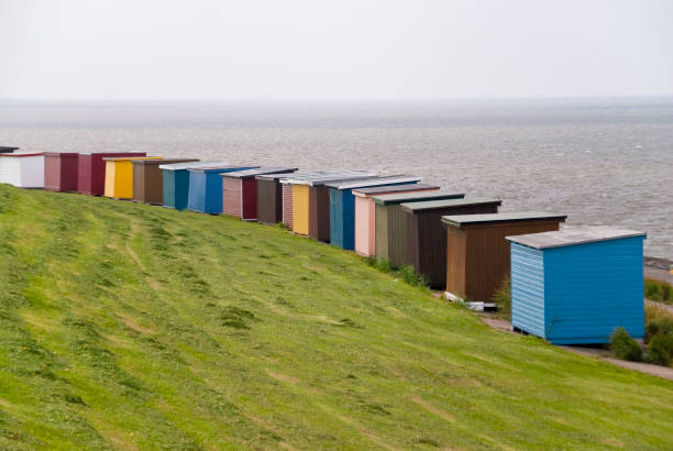 istock Wadden Sea of Oland 643977072