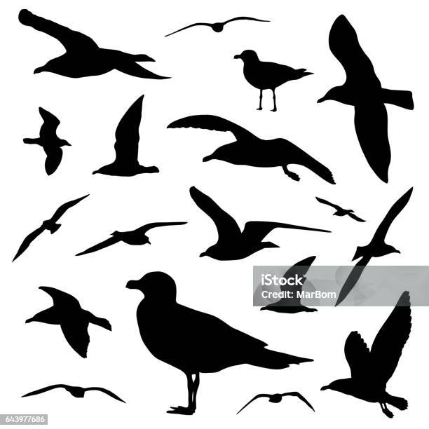Seagull Silhouette Set Isolated On White Background Vector Stock Illustration - Download Image Now