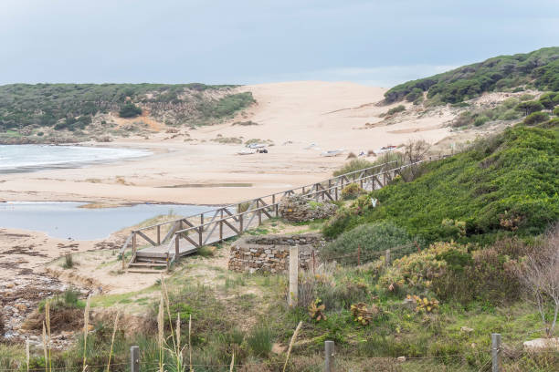 istock Bolonia beach dunes, Cadiz, Spain 643978004