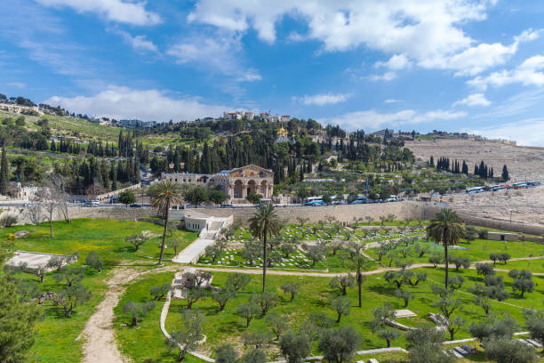 올리브 산, 예루살렘 - mount of olives 뉴스 사진 이미지