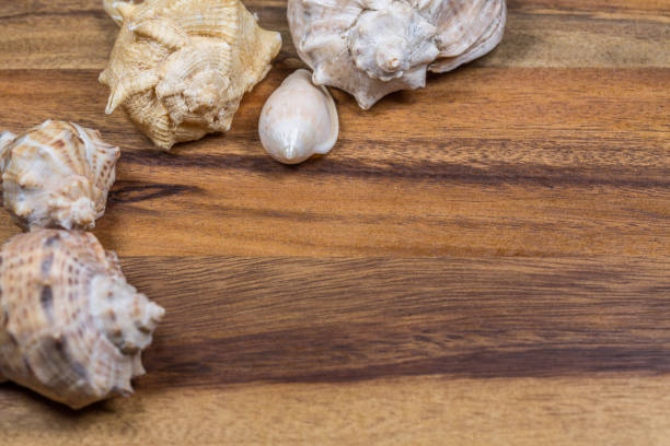 istock Seashells on wooden table close up 643980378
