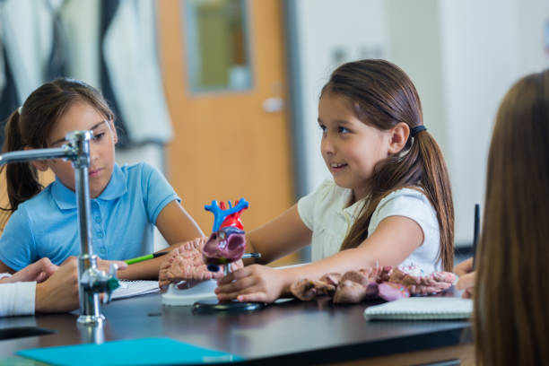 istock Young STEM school student participates in biology lab 643984378