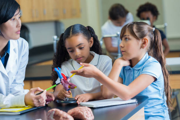 istock Adorable elementary schoolgirl asks teacher a question in science lab 643984472