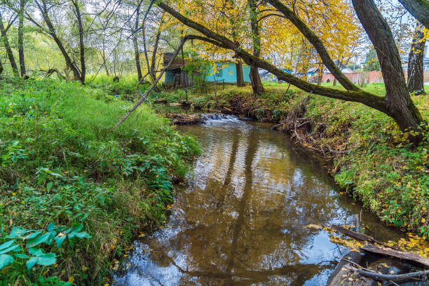 istock Autumn landscape with flowing river and leaves 643991738
