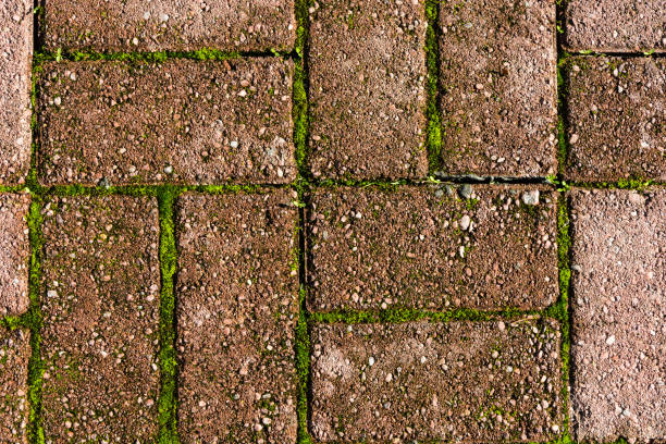 istock Beautiful stone texture with green plants. 643995690