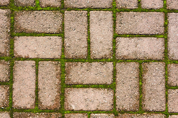 istock Beautiful stone texture with green plants. 643995746