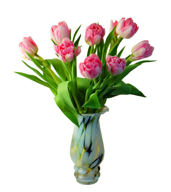 istock Bouquet of pink tulips. 644006398
