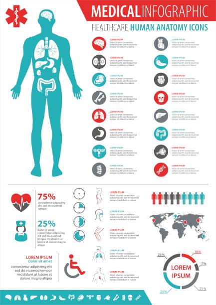 ilustraciones, imágenes clip art, dibujos animados e iconos de stock de infografía médica - science medicine organization built structure