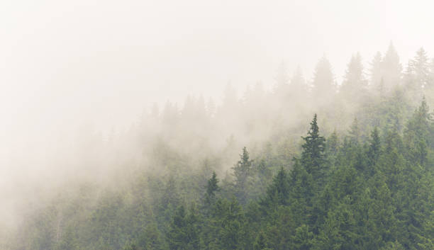 istock Mountain scenery in the Transylvanian Alps in summer 644028450