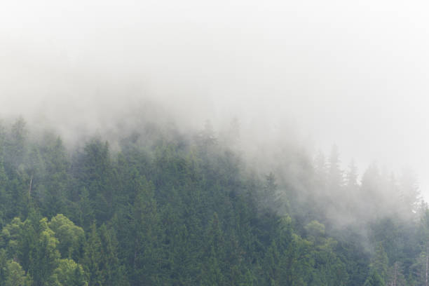 istock Mountain scenery in the Transylvanian Alps in summer 644028498