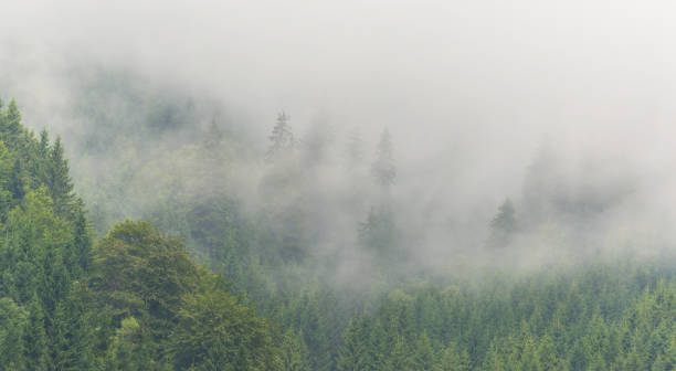 istock Mountain scenery in the Transylvanian Alps in summer 644028514