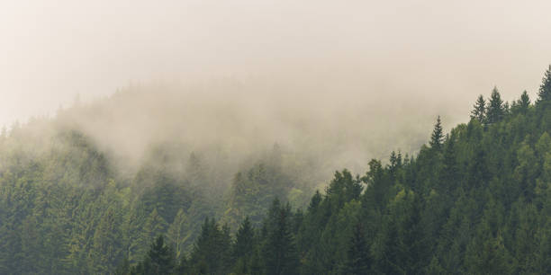 istock Mountain scenery in the Transylvanian Alps in summer 644028546