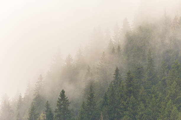 istock Mountain scenery in the Transylvanian Alps in summer 644028560