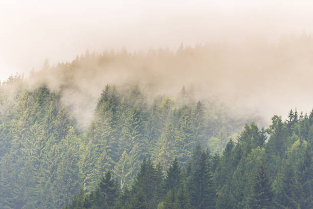 istock Mountain scenery in the Transylvanian Alps in summer 644028596