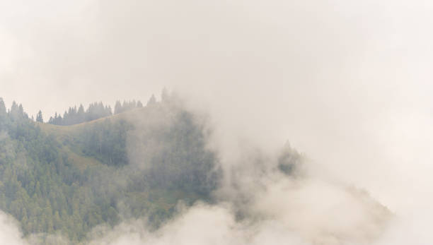 istock Mountain scenery in the Transylvanian Alps in summer 644028836