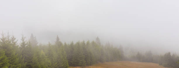 istock Mountain scenery in the Transylvanian Alps in summer 644031538