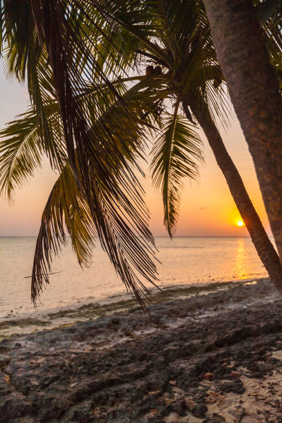 istock Romantic sunset on a desert island, Maldives 644040548