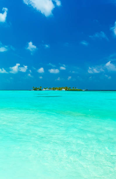 istock Seascape with rolling waves on a sandy beach and boats, Maldives 644040604