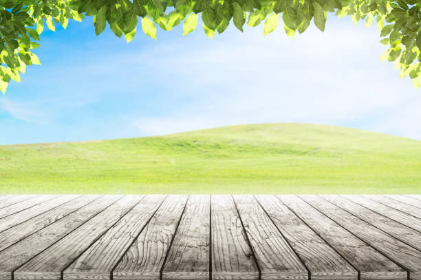 istock Wood table top on mound slope green grass natural background. 644044314