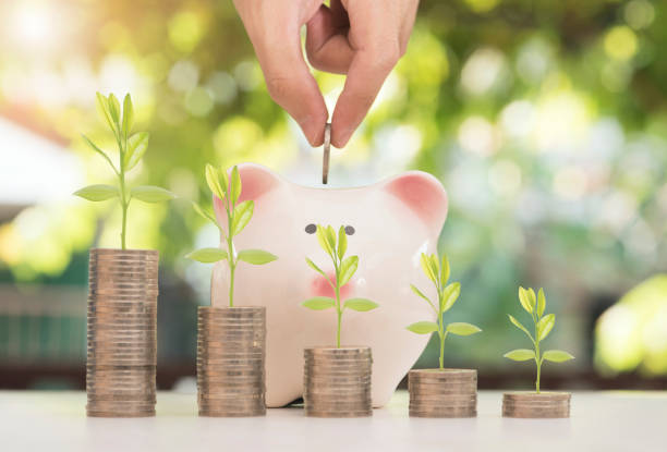 istock pile coin with tree and piggy bank. 644048086