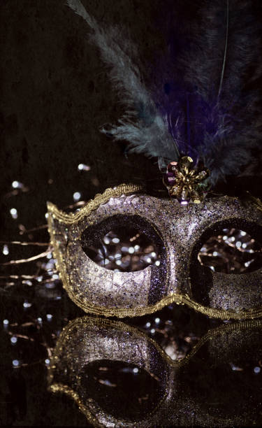 masquerade venitian carnival mask, female theatrical feathers - venitian imagens e fotografias de stock