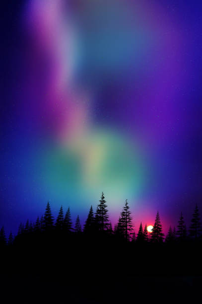 istock Multicolored northern lights (Aurora borealis) on Canadian forest 644051088