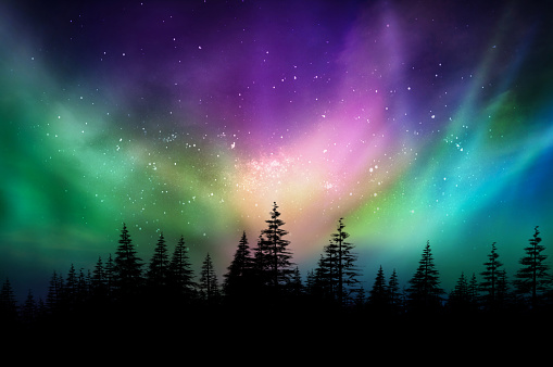 Multicolored northern lights (Aurora boreal) en bosque canadiense photo