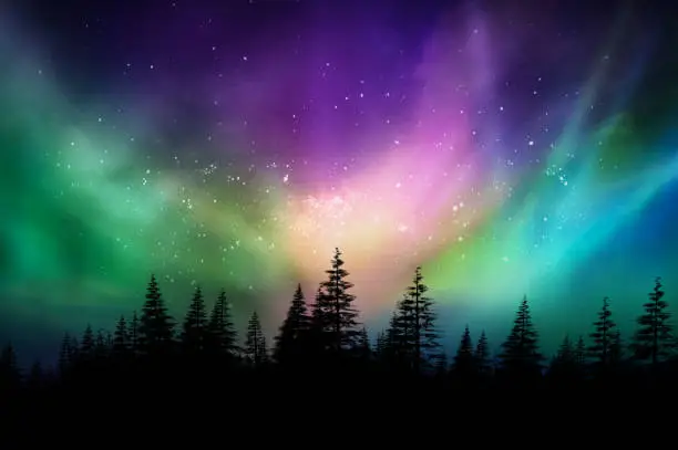 Photo of Multicolored northern lights (Aurora borealis) on Canadian forest