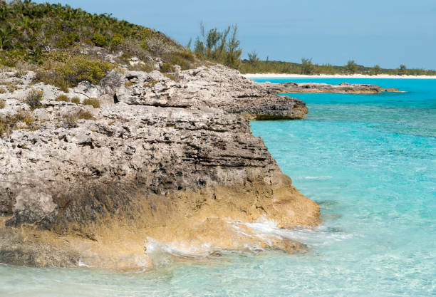 istock Bahamas' Island coastline 644054048