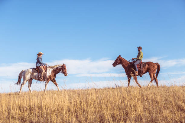 istock Two People On Horseback Riding Toward Each Other 644060578