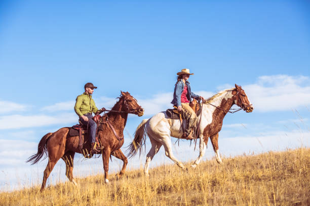 istock Two People Riding Horses Up Grassy Hill 644060642