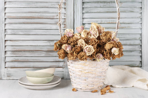 istock Dried roses in basket against blinds 644060914