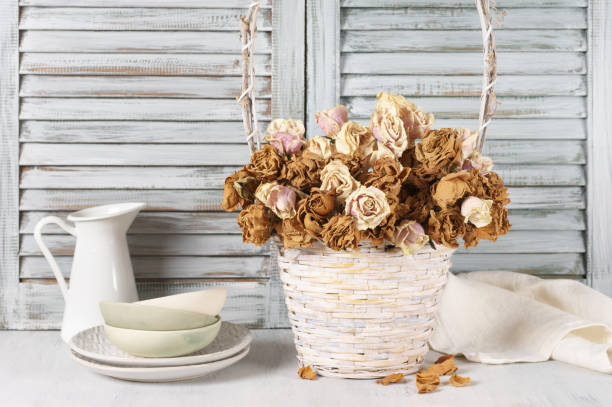 istock Dried roses in basket against blinds 644060924