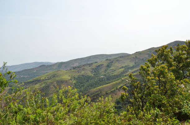 istock Beautiful and serene view of Mullayanagiri range of mountains 644060992