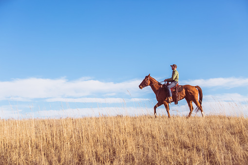 A lone cowboy riding a brown quarter horse across a Montana prairie with blue sky and white cloudy background.