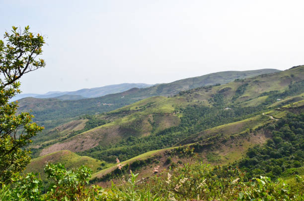 istock Beautiful and serene view of Mullayanagiri range of mountains 644061302