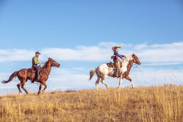 dwie osoby jeżdżące konno - cowboy horseback riding nature blue zdjęcia i obrazy z banku zdjęć