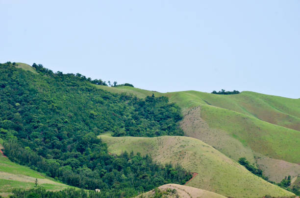 istock Beautiful and serene view of Mullayanagiri range of mountains 644063686