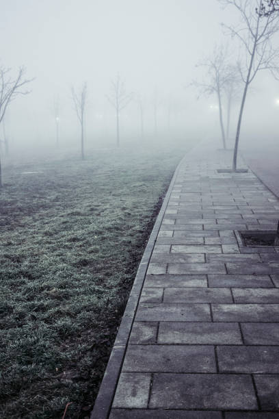 istock Leafless trees perspective foggy park 644063864