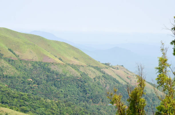 istock Beautiful and serene view of Mullayanagiri range of mountains 644064054
